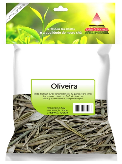 Folhas oliveira